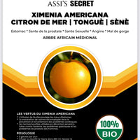 Assi's Secret Ximenia Americana - Tongue - Sene. MOUA