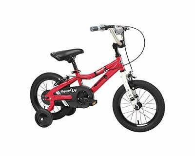 Dynacraft
Duzy Customs Skyquest 14