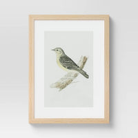 Set of 3) 12" x 16" Birds Framed Under Glass - Threshold™
