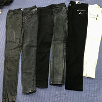 Ladies Pant