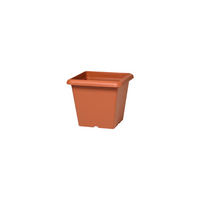 
              Promo * Plastecnic Vaso Quadro Terrae Terracotta 30cm/ 12L
            