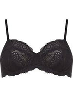 
              SOUTIEN-GORGE . MOUA
            