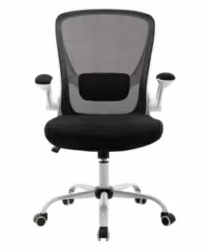 Xcalla Adjustable Office Chair