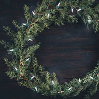 
              Philips 60ct Philips Christmas LED Smooth Mini String Lights Pure White
            