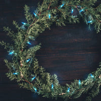 
              Philips 60ct Christmas LED Smooth Mini String Lights Blue
            