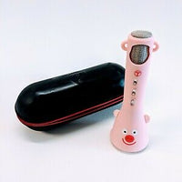 Karaoke Professional Microphone Set Pink Children & Adults