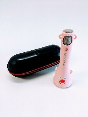Karaoke Professional Microphone Set Pink Children & Adults