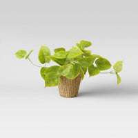 13" x 14" Artificial Lime Pothos Plant in Basket - Threshold™ (Please be advised that sets may be missing pieces or otherwise incomplete.)