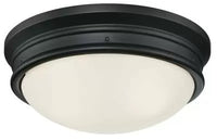 
              Westinghouse 6324100 Meadowbrook 2 Light 13" Wide Flush Mount Bowl Ceiling Fixture
            