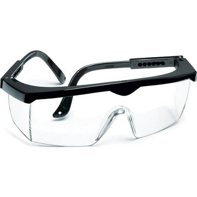 Safety Spectacles With Smoked Lens (Lunettes de sécurité à lentilles fumées)