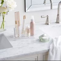 Promo*Clear Small Cosmetic Organizer
