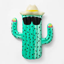 Cactus Pool Float - Sun Squad™
