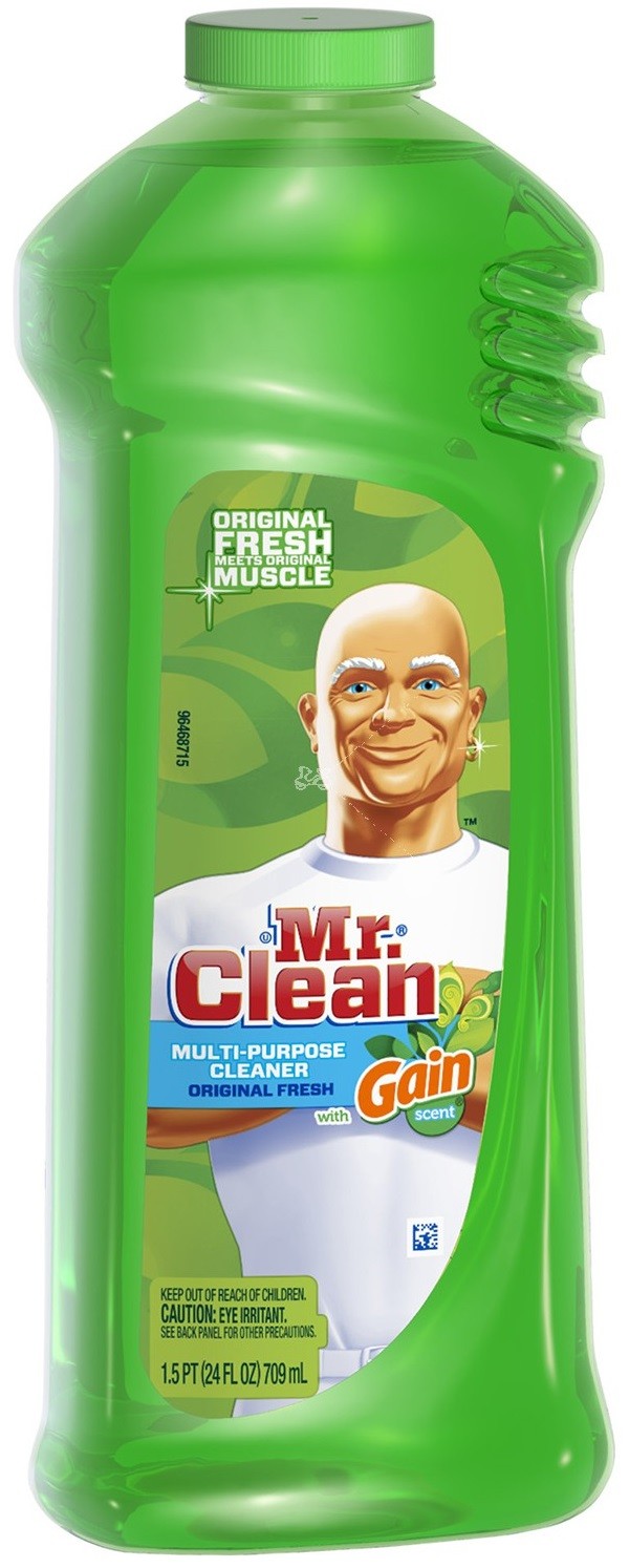Mr Clean Multi Purpose Cleaner Gain Scent 24 Oz/709 mL