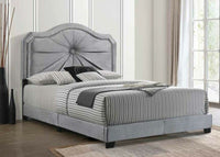 
              Acme Furniture Frankie Queen Bed 2 places
            