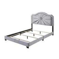 
              Acme Furniture Frankie Queen Bed 2 places
            